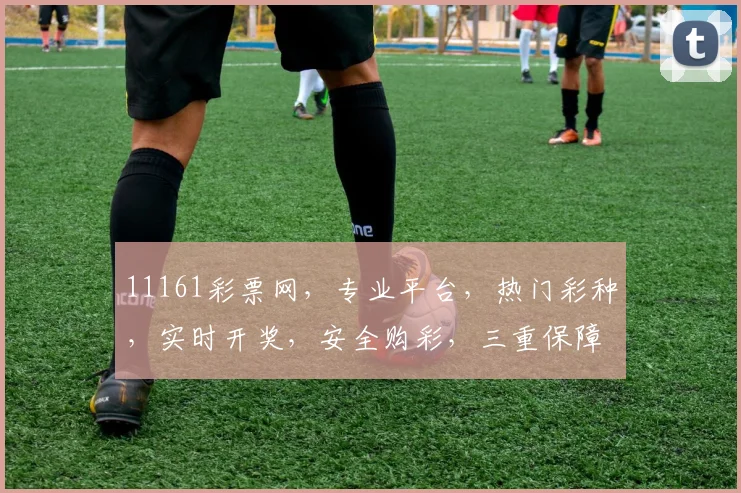 11161彩票网，专业平台，热门彩种，实时开奖，安全购彩，三重保障，必看攻略