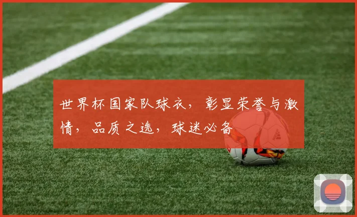 世界杯国家队球衣，彰显荣誉与激情，品质之选，球迷必备