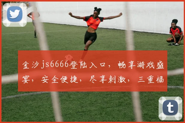 金沙js6666登陆入口，畅享游戏盛宴，安全便捷，尽享刺激，三重福利，不容错过