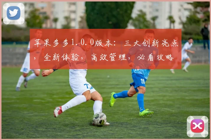 苹果多多1.0.0版本：三大创新亮点，全新体验，高效管理，必看攻略